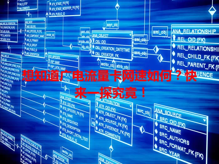 想知道广电流量卡网速如何？快来一探究竟！