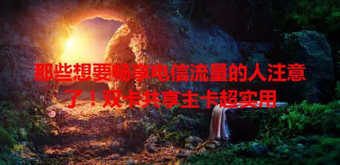 那些想要畅享电信流量的人注意了！双卡共享主卡超实用