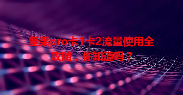 坚果pro卡1卡2流量使用全攻略，你知道吗？