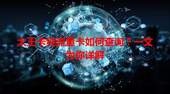 大王卡纯流量卡如何查询？一文为你详解
