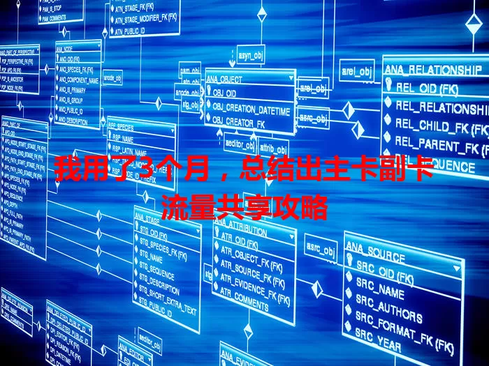 我用了3个月，总结出主卡副卡流量共享攻略