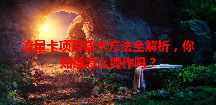 流量卡项目拿卡方法全解析，你知道怎么操作吗？
