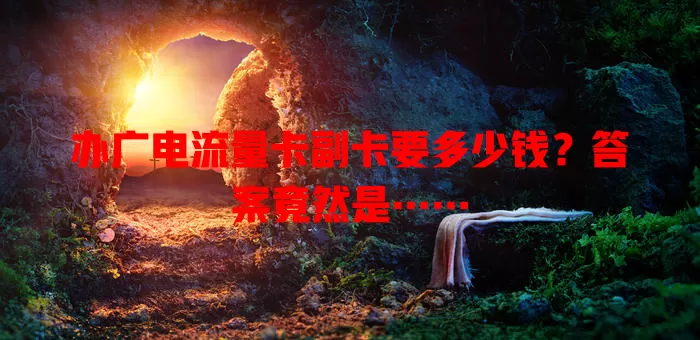 办广电流量卡副卡要多少钱？答案竟然是……