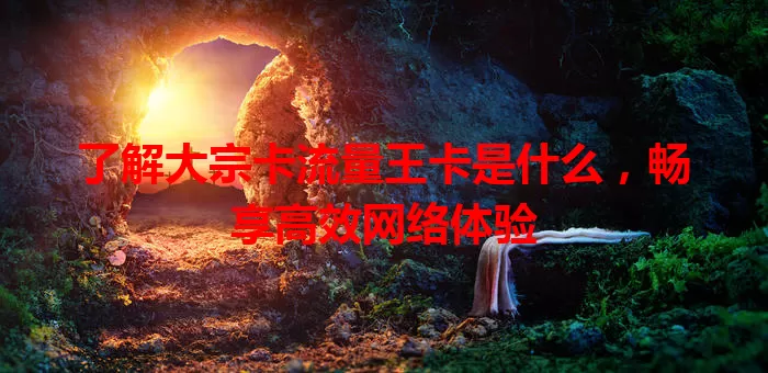 了解大宗卡流量王卡是什么，畅享高效网络体验