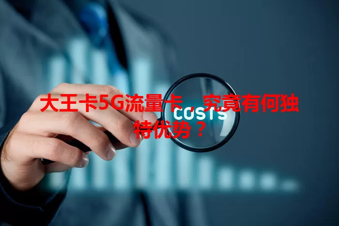 大王卡5G流量卡，究竟有何独特优势？
