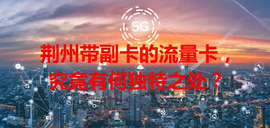 荆州带副卡的流量卡，究竟有何独特之处？