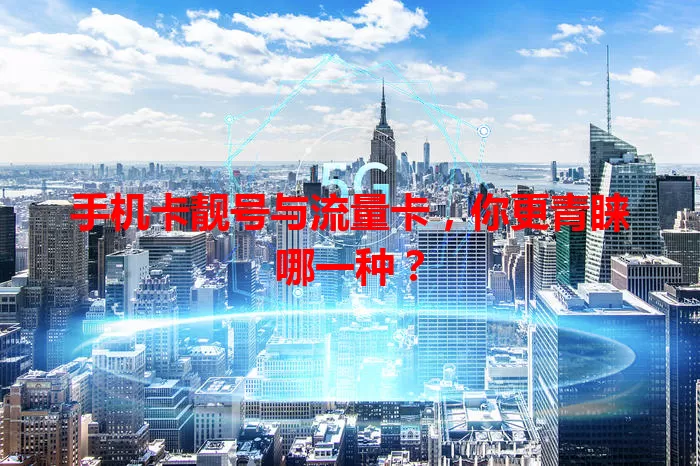 手机卡靓号与流量卡，你更青睐哪一种？
