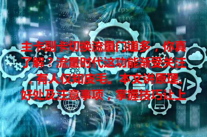 主卡副卡切换流量门道多，你真了解？流量时代这功能渐受关注，有人仅知皮毛。本文讲原理、好处及注意事项，掌握技巧让上网更顺，你用了吗？快来分享感受！