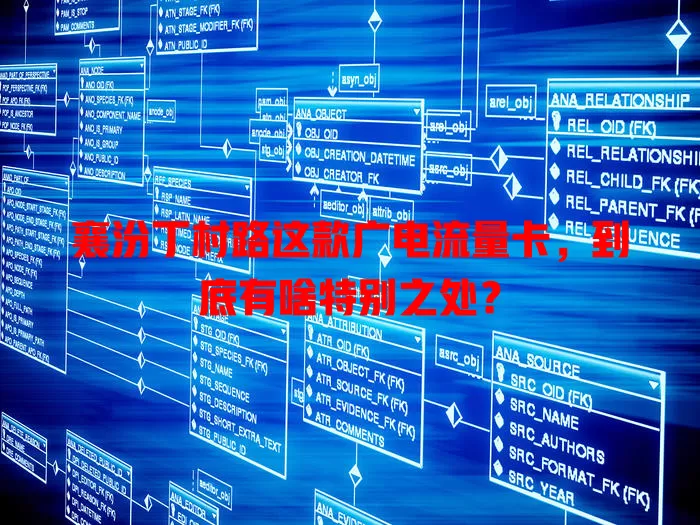 襄汾丁村路这款广电流量卡，到底有啥特别之处？