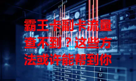 霸王卡副卡流量查不到？这些方法或许能帮到你