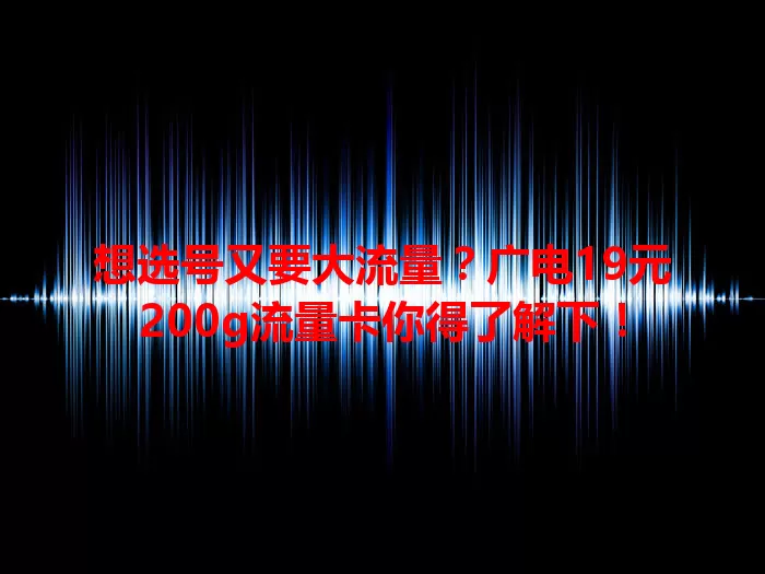 想选号又要大流量？广电19元200g流量卡你得了解下！