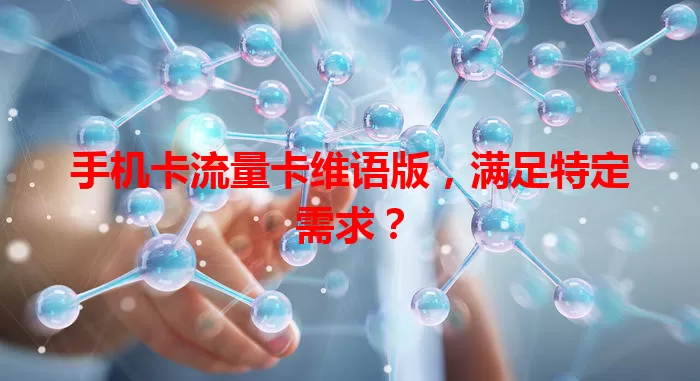 手机卡流量卡维语版，满足特定需求？