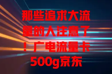 那些追求大流量的人注意了！广电流量卡500g京东自营来袭