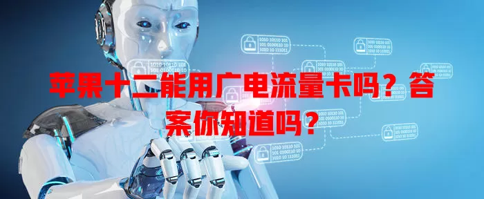 苹果十二能用广电流量卡吗？答案你知道吗？