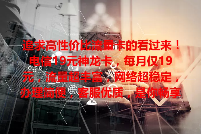 追求高性价比流量卡的看过来！电信19元神龙卡，每月仅19元，流量超丰富，网络超稳定，办理简便，客服优质，是你畅享网络的不二之选，别犹豫，快行动！