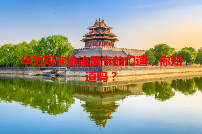 华为双卡选流量卡的门道，你知道吗？