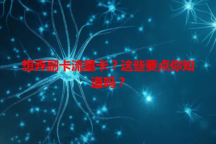 想弄副卡流量卡？这些要点你知道吗？