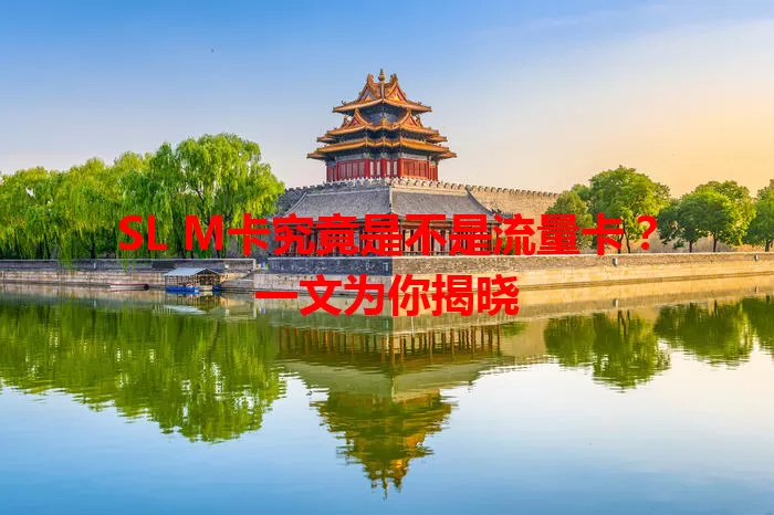 SL M卡究竟是不是流量卡？一文为你揭晓