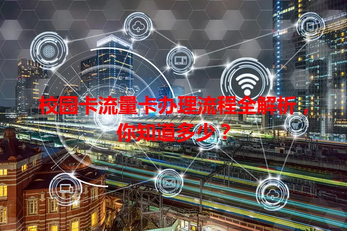 校园卡流量卡办理流程全解析，你知道多少？