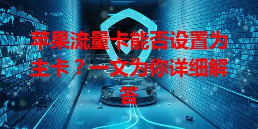 苹果流量卡能否设置为主卡？一文为你详细解答