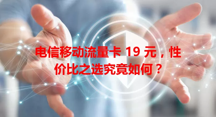 电信移动流量卡 19 元，性价比之选究竟如何？
