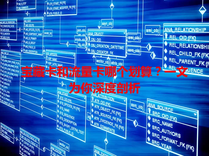 宝藏卡和流量卡哪个划算？一文为你深度剖析