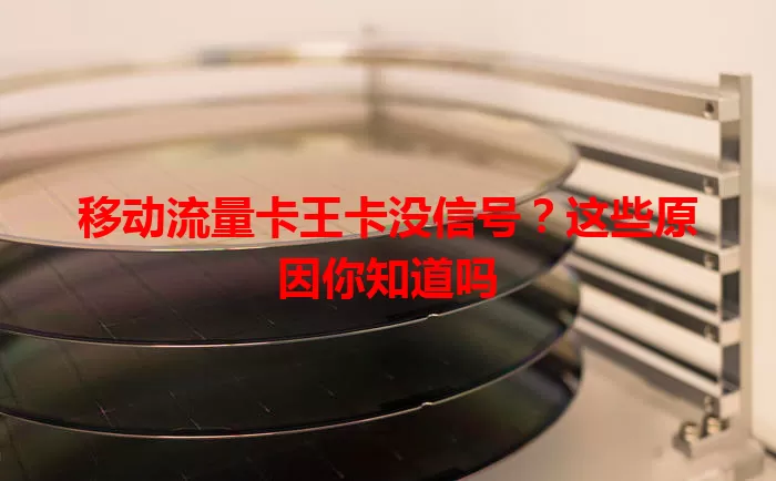 移动流量卡王卡没信号？这些原因你知道吗