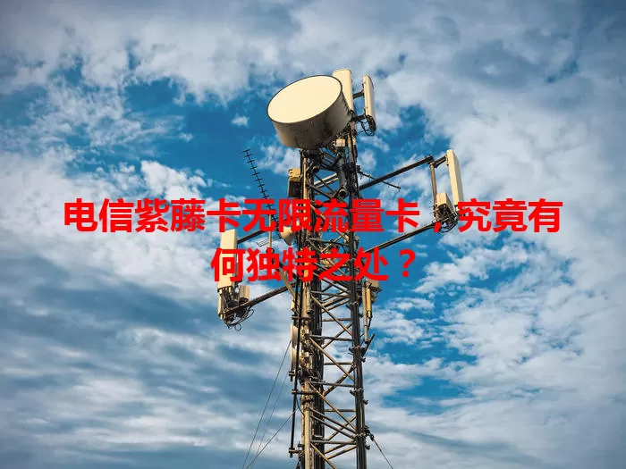 电信紫藤卡无限流量卡，究竟有何独特之处？