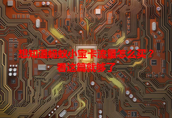 想知道蚂蚁小宝卡流量怎么买？看这篇就够了