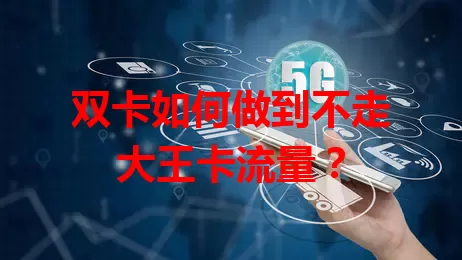 双卡如何做到不走大王卡流量？