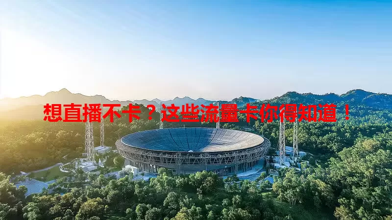 想直播不卡？这些流量卡你得知道！