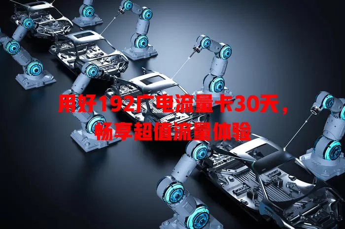 用好192广电流量卡30天，畅享超值流量体验