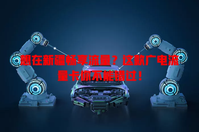 想在新疆畅享流量？这款广电流量卡你不能错过！