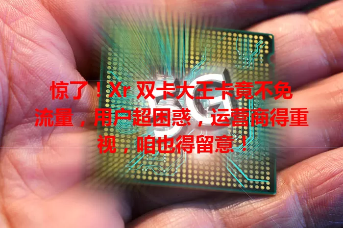 惊了！Xr 双卡大王卡竟不免流量，用户超困惑，运营商得重视，咱也得留意！