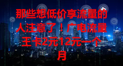 那些想低价享流量的人注意了！广电流量王卡2元12元一个月