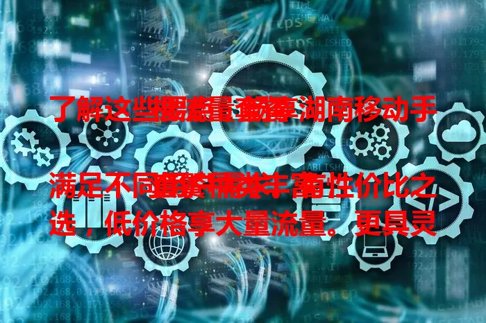 了解这些要点，畅享湖南移动手机流量套餐

套餐种类丰富，满足不同用户需求。有性价比之选，低价格享大量流量。更具灵活组合优势，可按需定制套餐，避免资源浪费，轻松实现按需消费 。