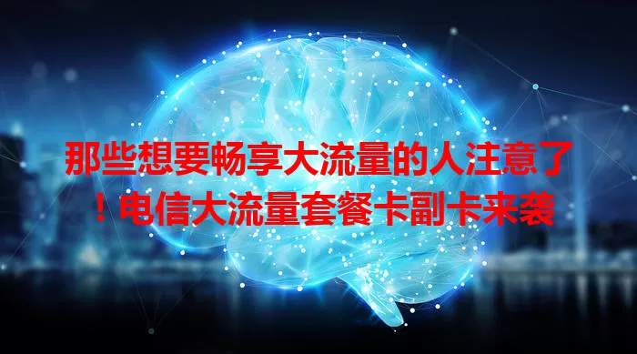 那些想要畅享大流量的人注意了！电信大流量套餐卡副卡来袭