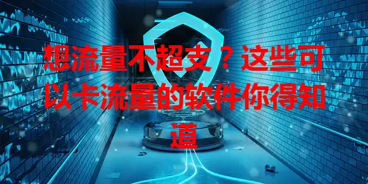 想流量不超支？这些可以卡流量的软件你得知道