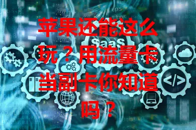 苹果还能这么玩？用流量卡当副卡你知道吗？