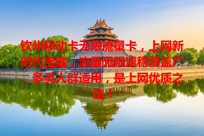 钦州移动卡无限流量卡，上网新时代宝藏，流量无限速稳覆盖广，多类人群适用，是上网优质之选！