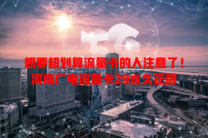 想要超划算流量卡的人注意了！河南广电流量卡29永久正版