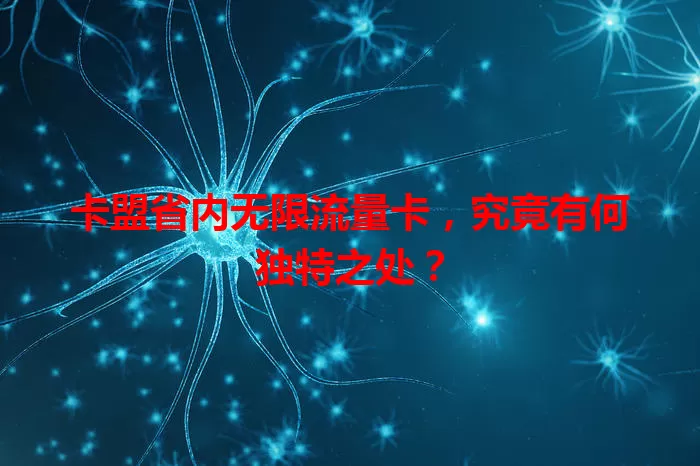 卡盟省内无限流量卡，究竟有何独特之处？
