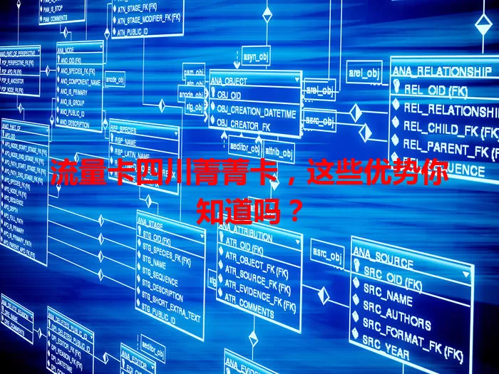 流量卡四川菁菁卡，这些优势你知道吗？
