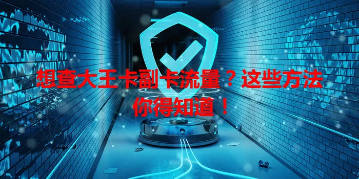 想查大王卡副卡流量？这些方法你得知道！