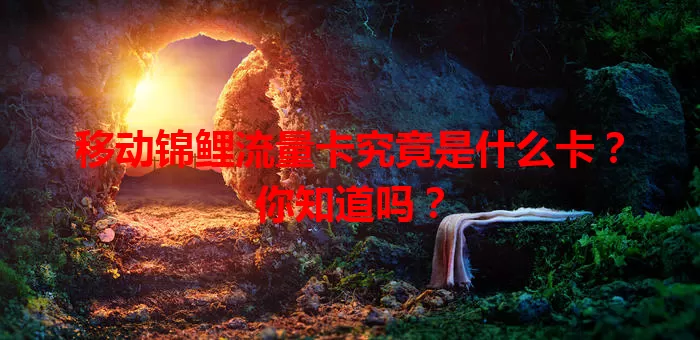 移动锦鲤流量卡究竟是什么卡？你知道吗？