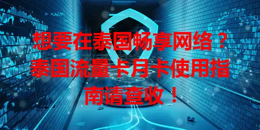 想要在泰国畅享网络？泰国流量卡月卡使用指南请查收！