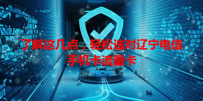了解这几点，轻松选对辽宁电信手机卡流量卡