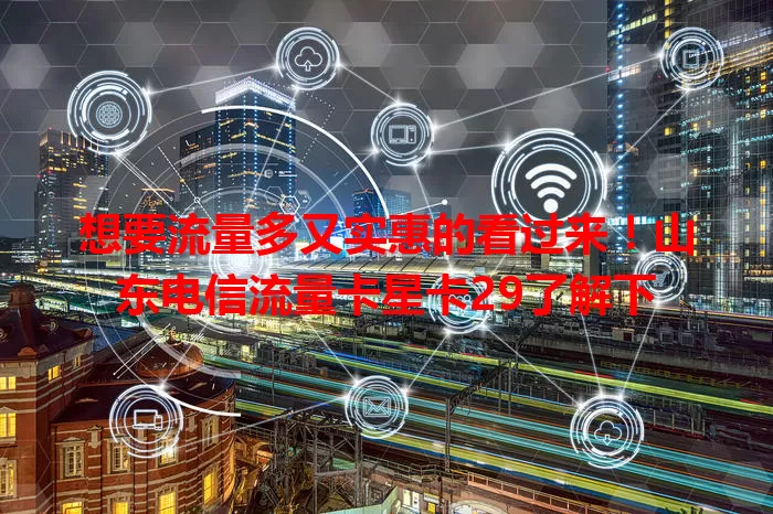 想要流量多又实惠的看过来！山东电信流量卡星卡29了解下