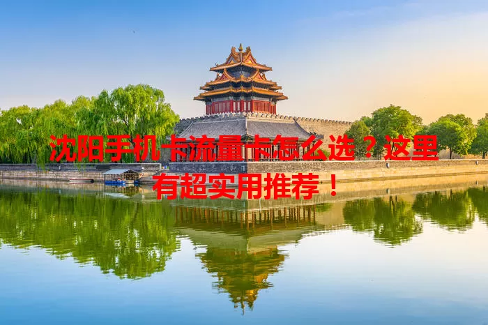 沈阳手机卡流量卡怎么选？这里有超实用推荐！