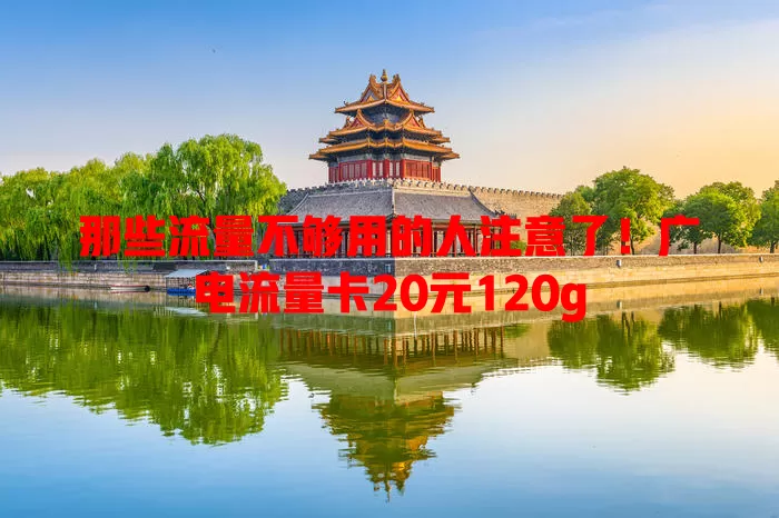 那些流量不够用的人注意了！广电流量卡20元120g